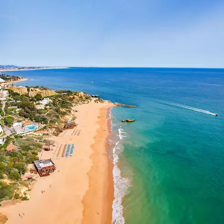 Готель Monica Isabel Club